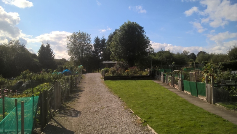 Cheadle Allotments